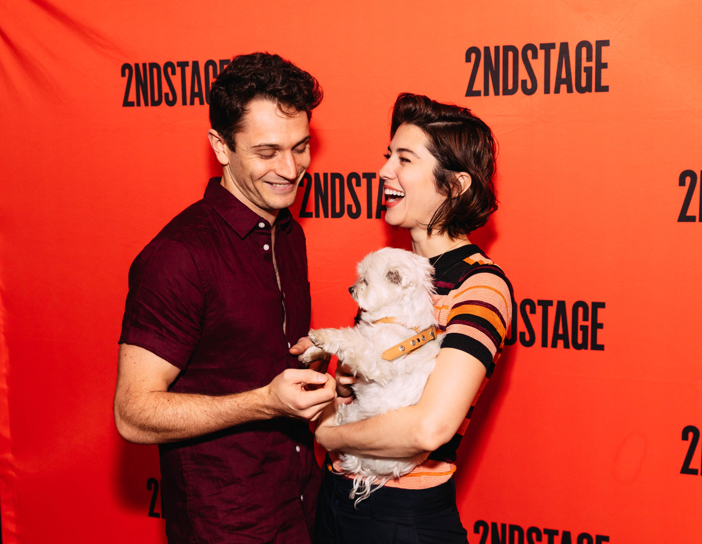 What Type of Dog is Mary Elizabeth Winstead's Dog? Unveiled!