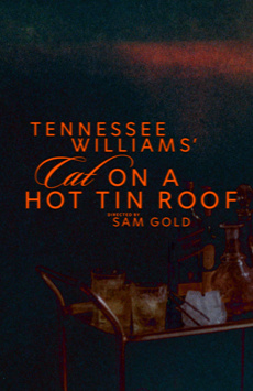 Cat on a Hot Tin Roof Show Poster