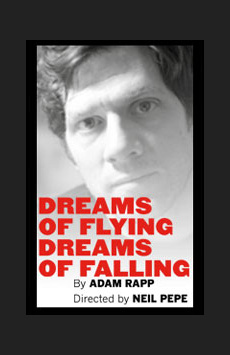 Dreams of Flying Dreams of Falling Show Poster