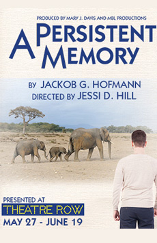 A Persistent Memory Show Poster