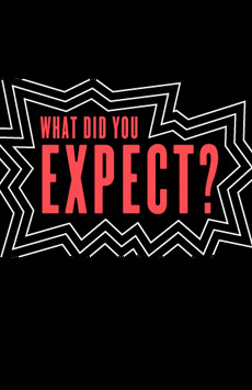 Election Year in the Life of One Family, Play Two: What Did You Expect? Show Poster