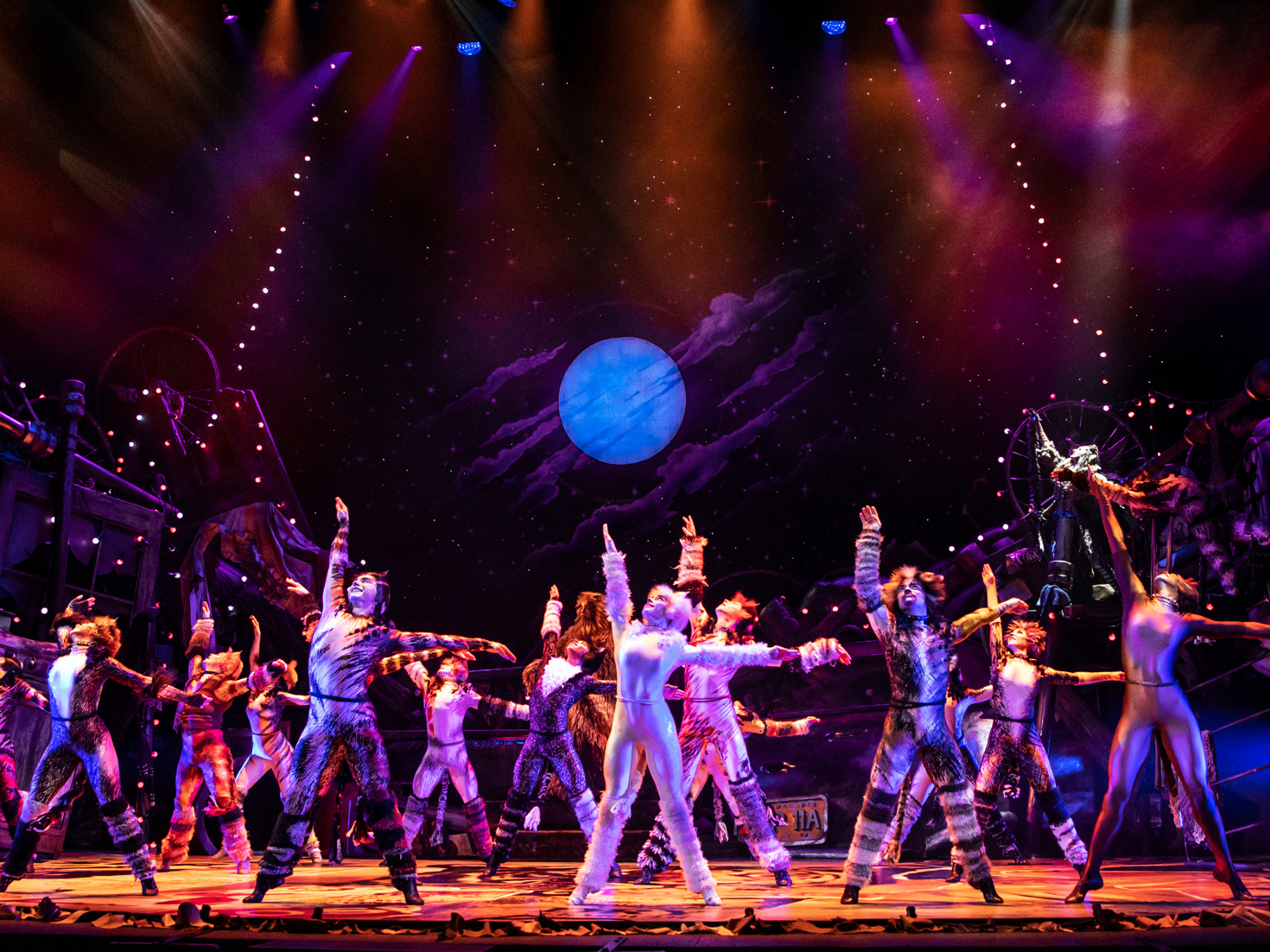 Cats National Tour Breaks Show's Worldwide Box Office Record During