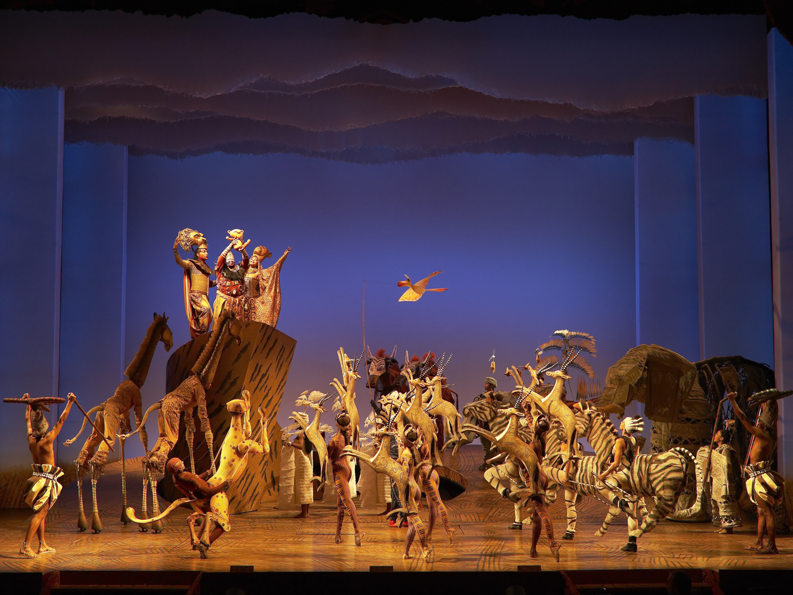 download the lion king theater