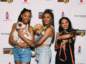 Once On This Island's Hailey Kilgore hangs at Broadway Barks with Summer: The Donna Summer Musical pals Ariana DeBose and Storm Lever.