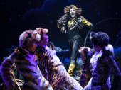 The North American touring company of Cats, photo by Matthew Murphy