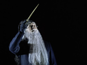 Edward James Hyland as Dumbledore in Harry Potter and the Cursed Child.