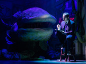 Rob McClure as Seymour in Little Shop of Horrors.