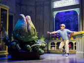 Rob McClure as Seymour in Little Shop of Horrors.