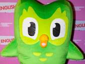 The evening's very special guest, a firm believer in multilingualism: Duo the Duolingo owl