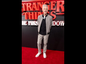 Matthew Modine plays Dr. Martin Brenner in the TV show.