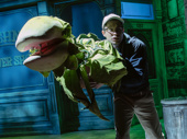 Graham Phillips as Seymour in Little Shop of Horrors.
