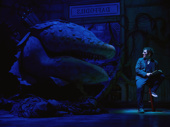 Ethan Slater as Seymour in Little Shop of Horrors.
