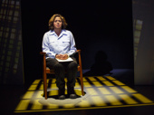Anna Deavere Smith in Notes From the Field.