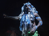 Quentin Earl Darrington as Agwe in Once On This Island. 