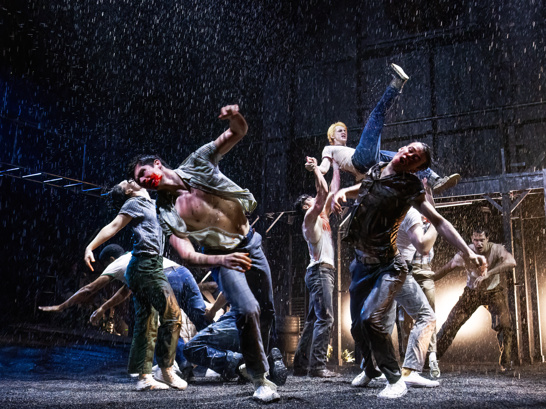 The cast of <i>The Outsiders</i>.