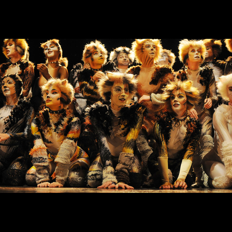 The 'Memory' Fades: Cats Revival Sets Broadway Closing Date, Broadway Buzz