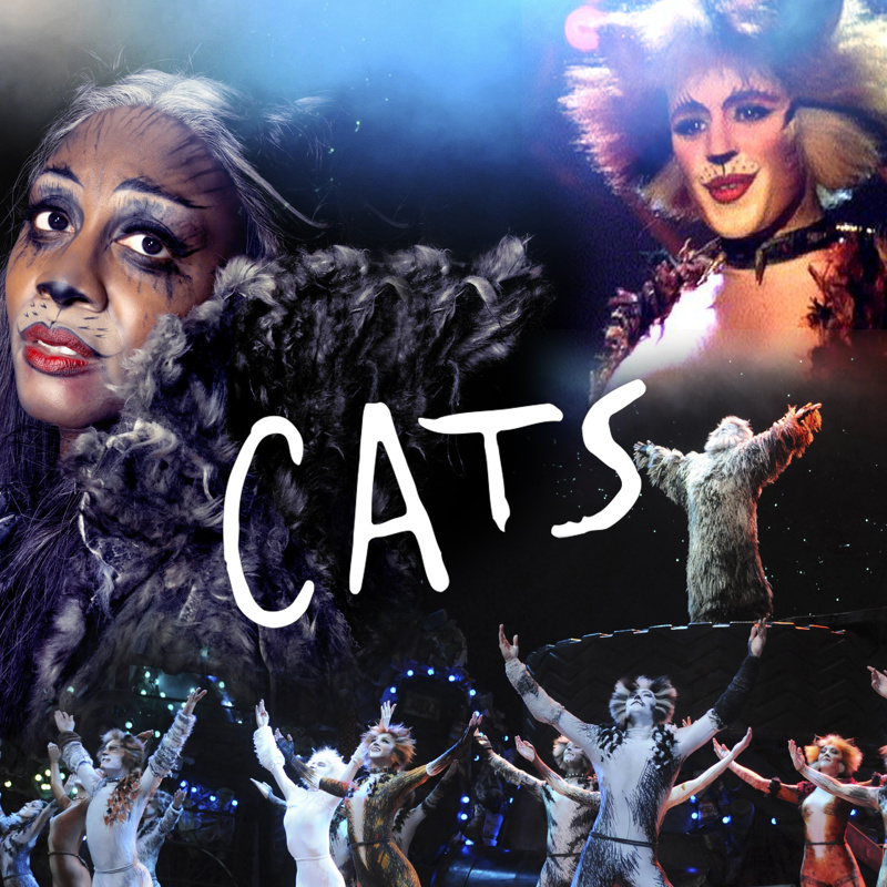 The Fans Have Spoken! The Top 10 Cats Characters You Want to Adopt, Broadway Buzz